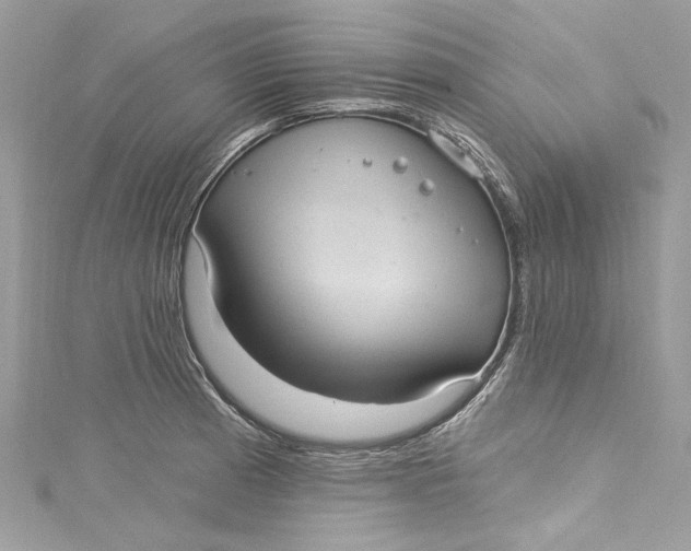 X0000115161185200911171255
