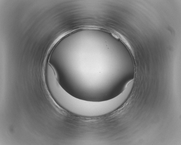 X0000115161195200911171255