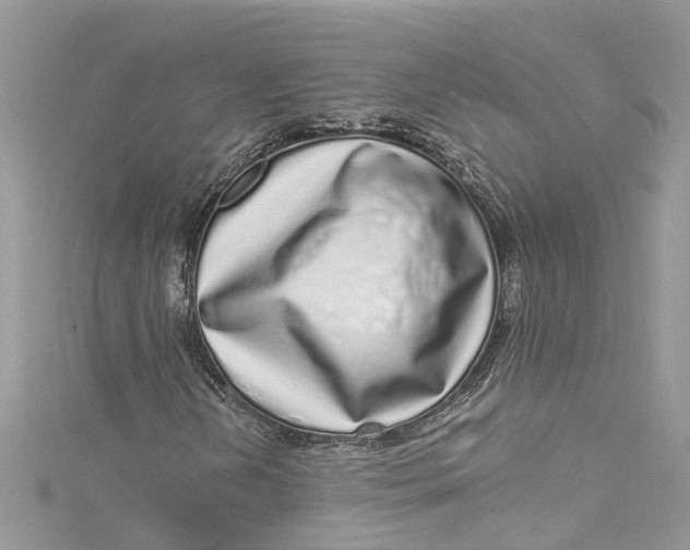 X0000115161202200911171255