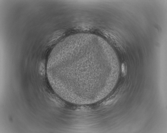 X0000115161203200911171255