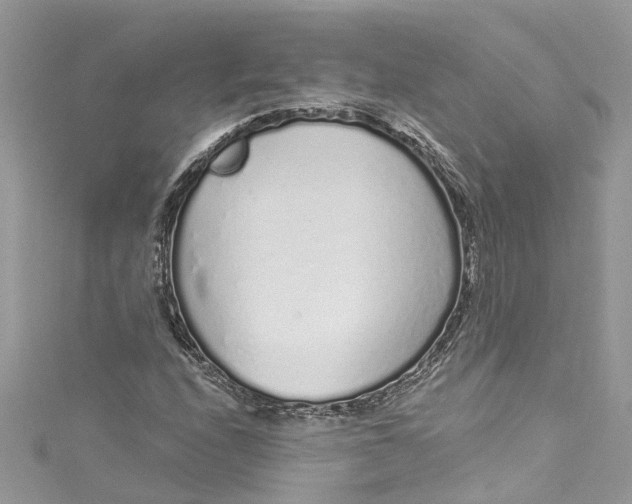 X0000115161208200911171255