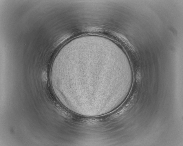 X0000115161209200911171255