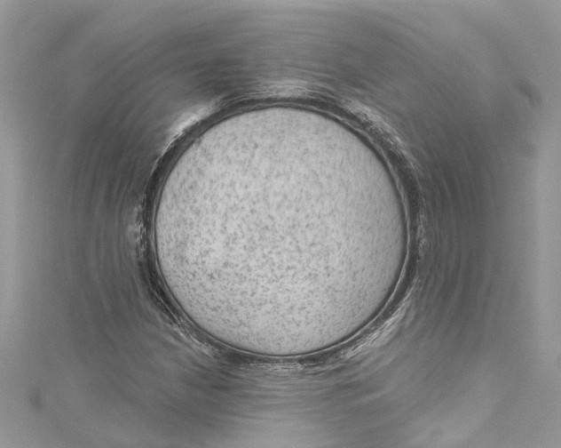 X0000115161210200911171255