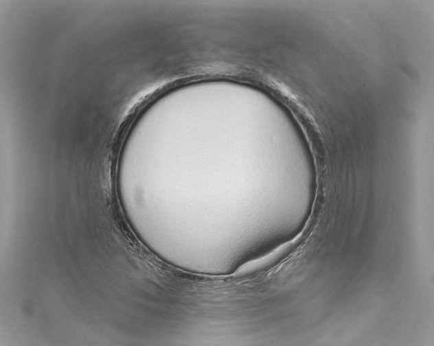 X0000115161214200911171255