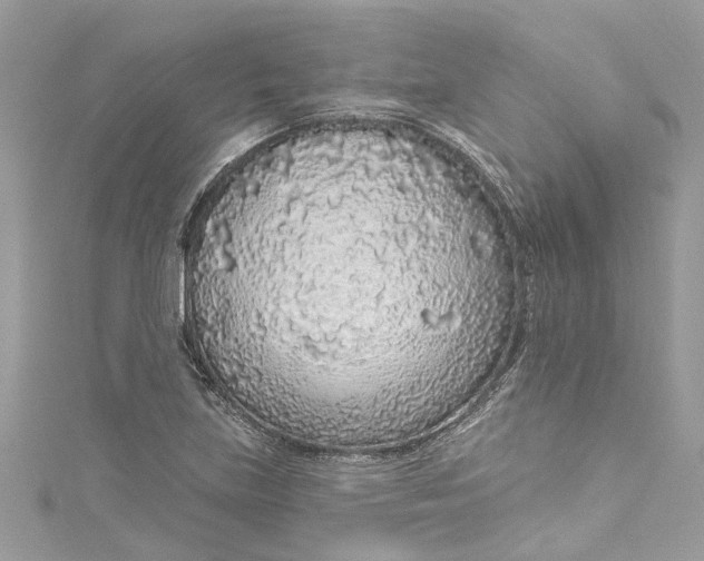 X0000115161219200911171255