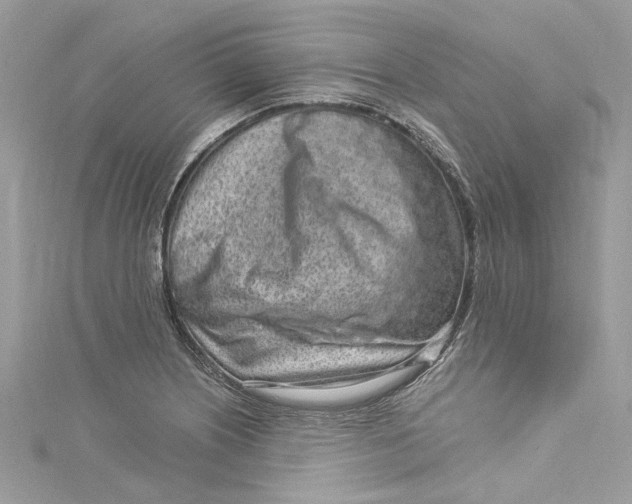 X0000115161226200911171255