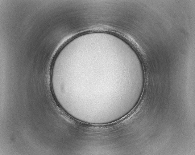 X0000115161232200911171255
