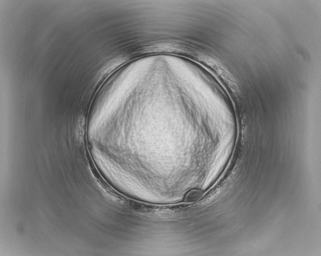 X0000115161233200911171255