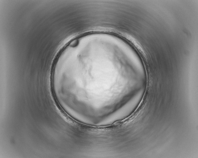 X0000115161237200911171255