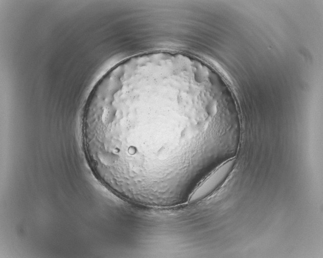 X0000115161243200911171255