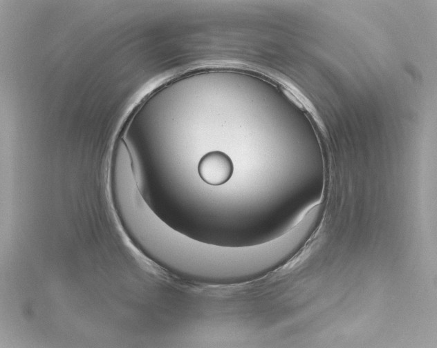 X0000115161245200911171255