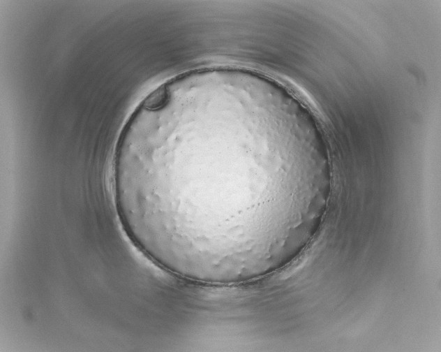 X0000115161247200911171255