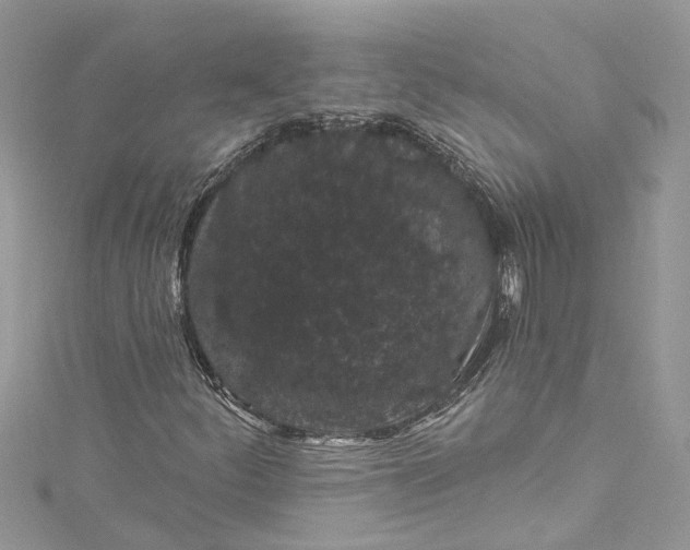 X0000115161252200911171254