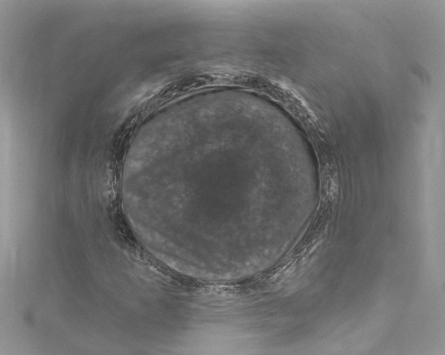 X0000115161253200911171254