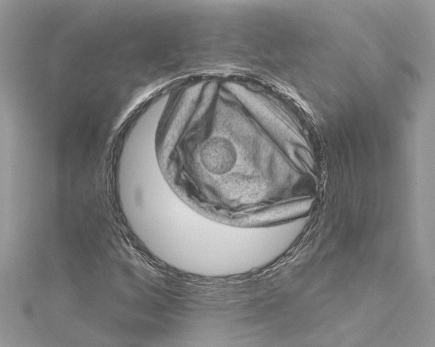 X0000115161256200911171254