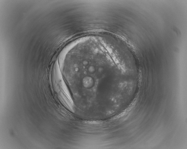 X0000115161257200911171254