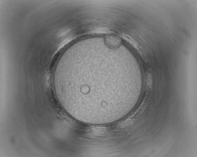 X0000115161258200911171254