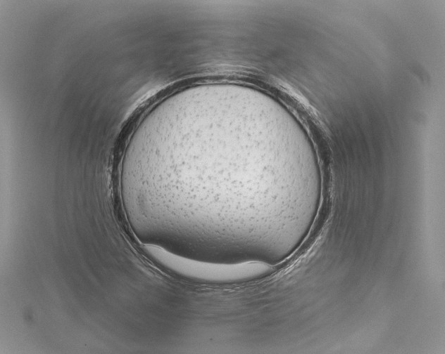 X0000115161259200911171254