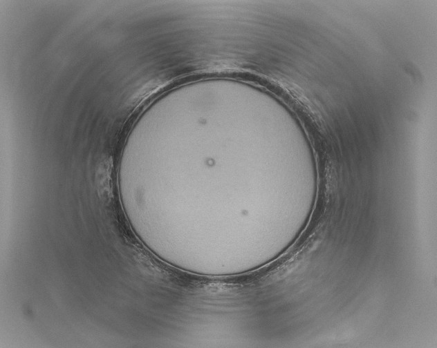 X0000115161265200911171254