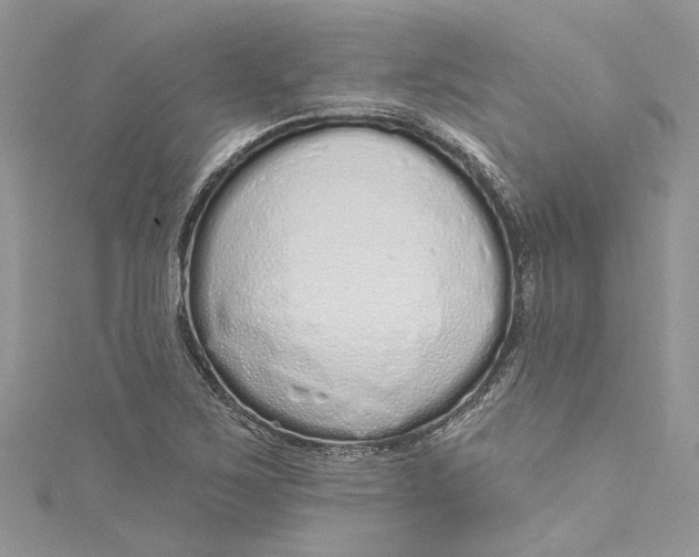 X0000115161267200911171254