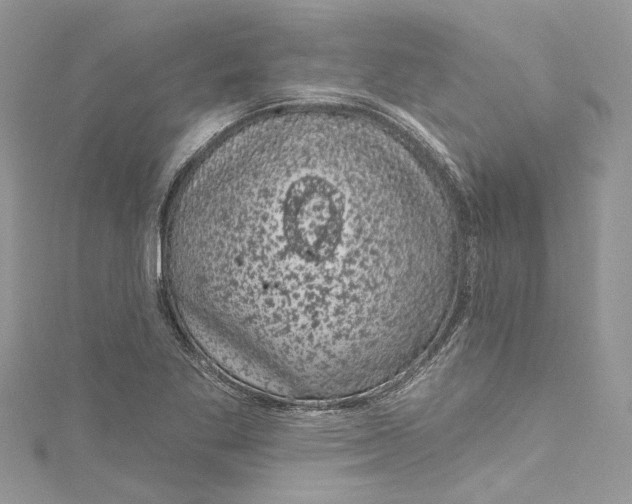 X0000115161269200911171254