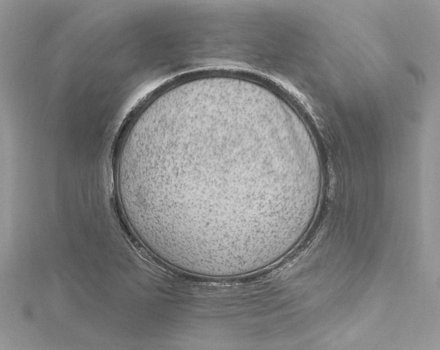 X0000115161271200911171254