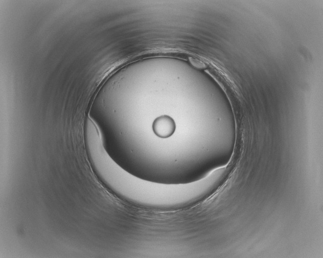 X0000115161273200911171254