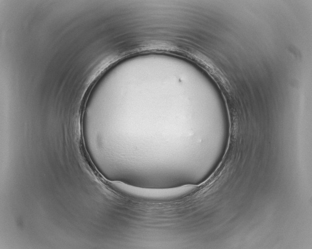 X0000115161274200911171254