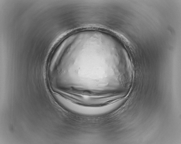 X0000115161279200911171254