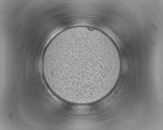 X0000115161290200911171254