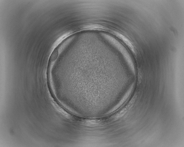 X0000115161330200911171254