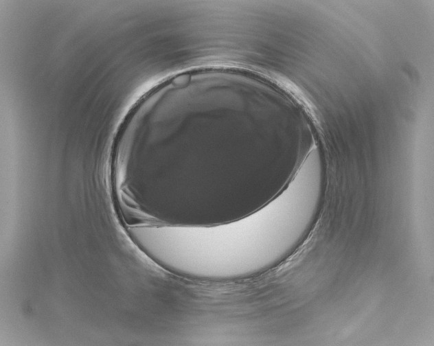 X0000115161334200911171254