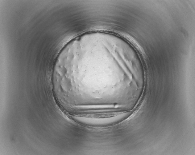 X0000115161337200911171254