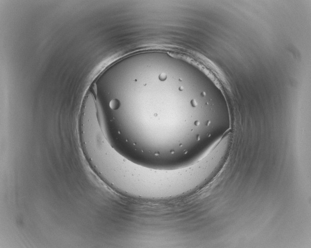 X0000115161338200911171254