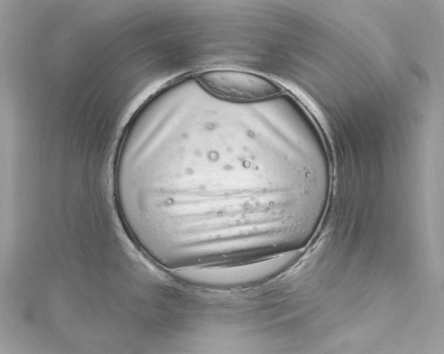 X0000115161341200911171254