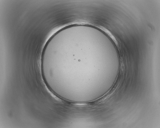 X0000115161343200911171254