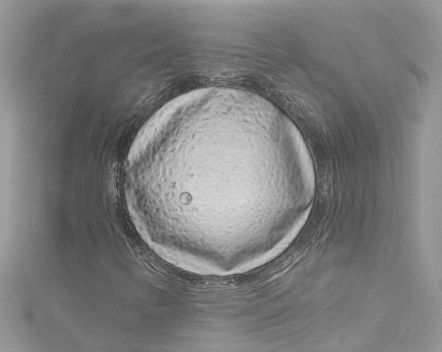 X0000115161346200911171253