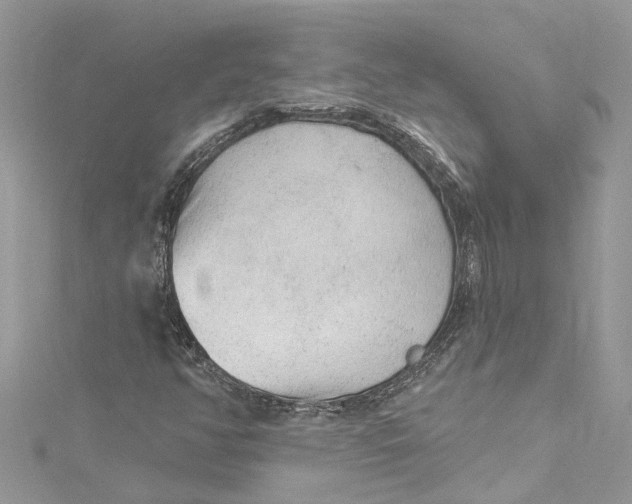 X0000115161350200911171253