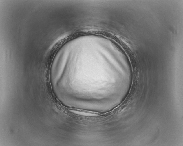 X0000115161351200911171253