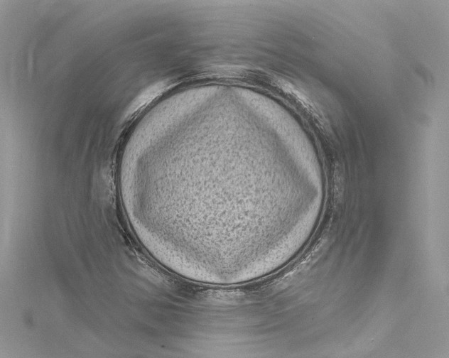 X0000115161354200911171253