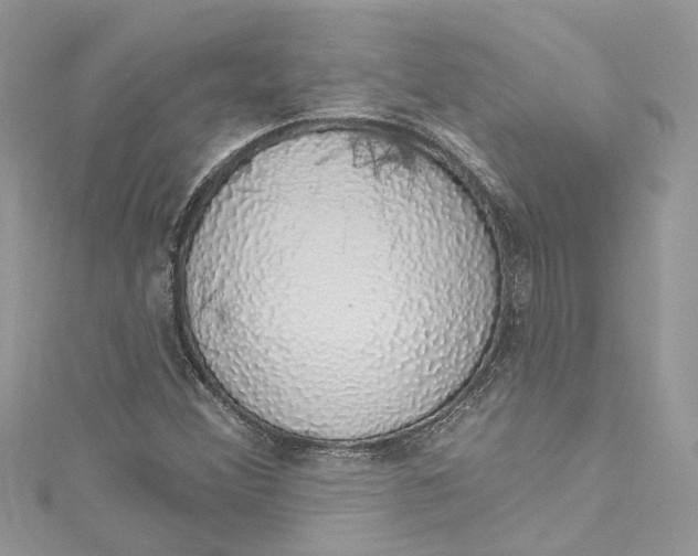 X0000115161356200911171253