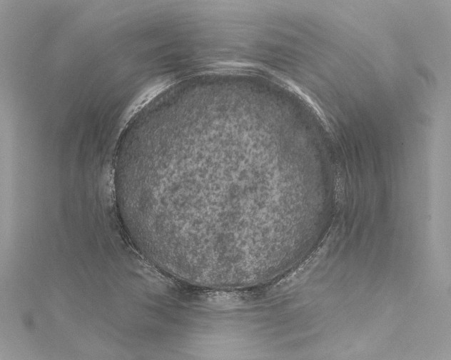 X0000115161362200911171253