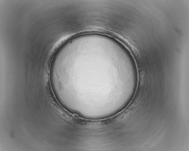 X0000115161363200911171253