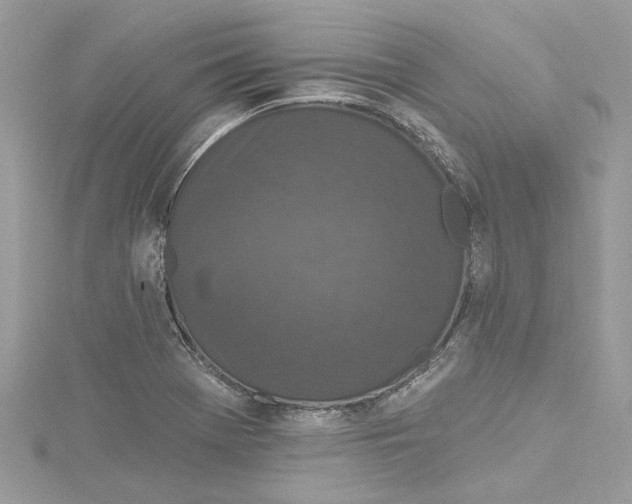 X0000115161369200911171253