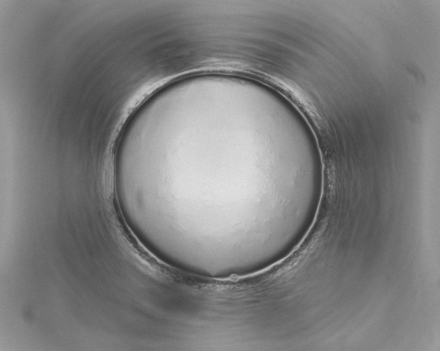 X0000115161371200911171253