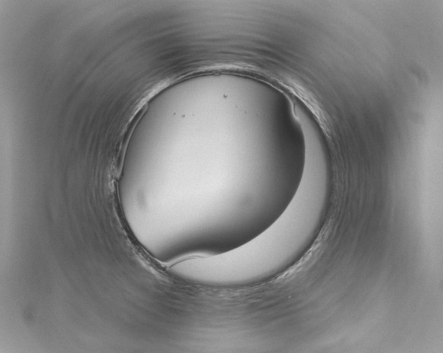 X0000115161377200911171253