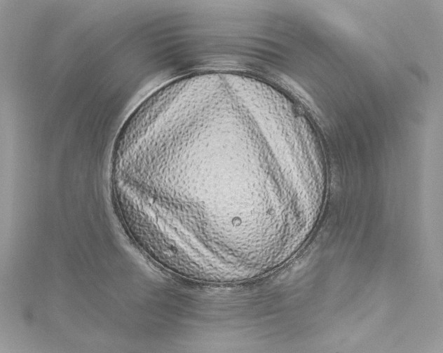 X0000115161378200911171253