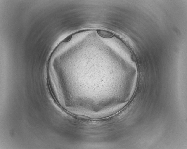 X0000115161382200911171253