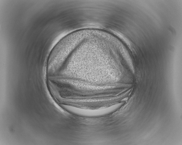 X0000115161383200911171253