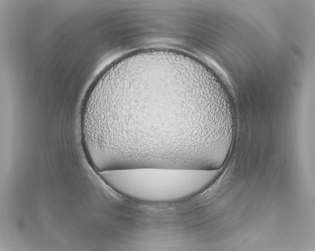 X0000115161384200911171253